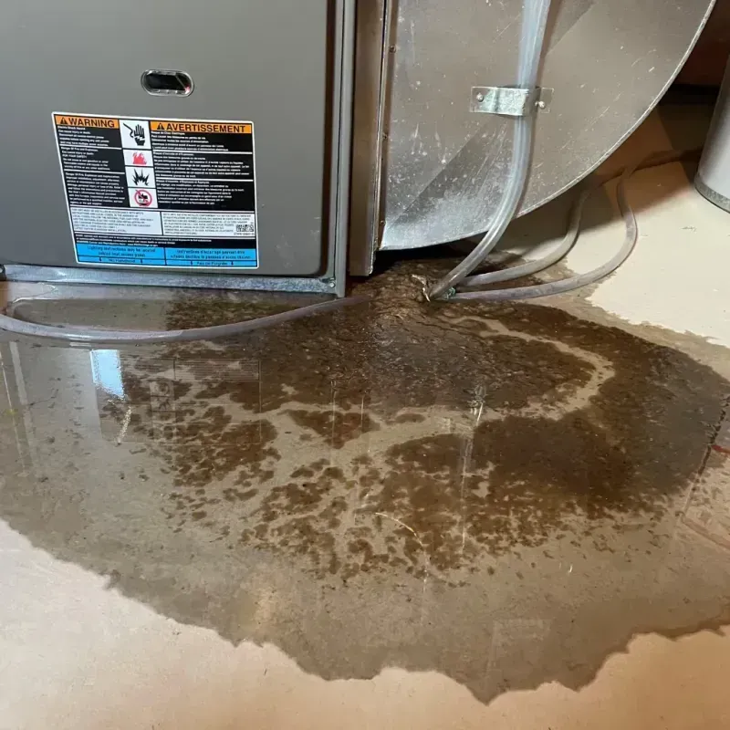 Appliance Leak Cleanup in Bellerose, NY